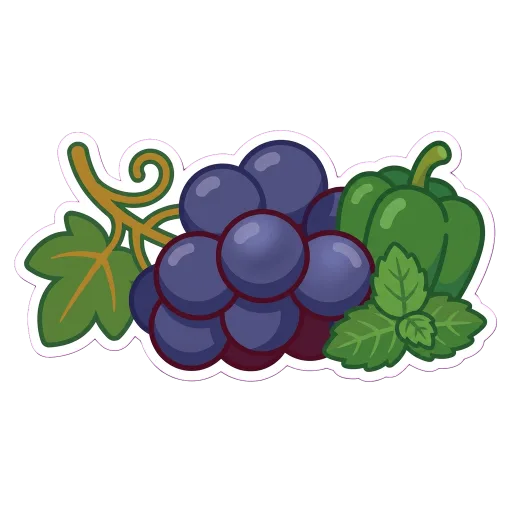 Illustration of Cabernet Sauvignon grapes