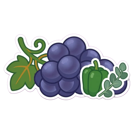 Illustration of Carmenère grapes
