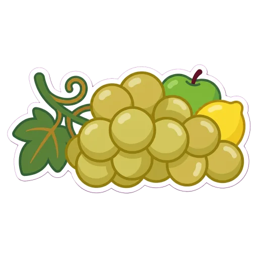 Illustration of Chenin Blanc grapes