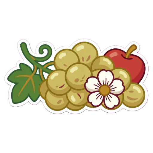 Illustration of Cortese grapes