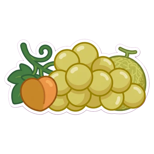 Illustration of Fiano grapes