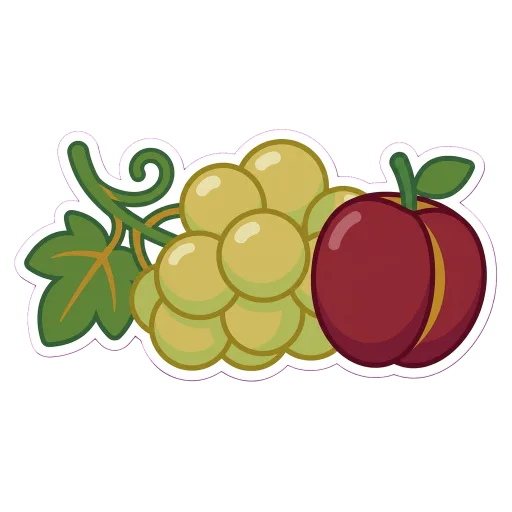 Illustration of Furmint grapes