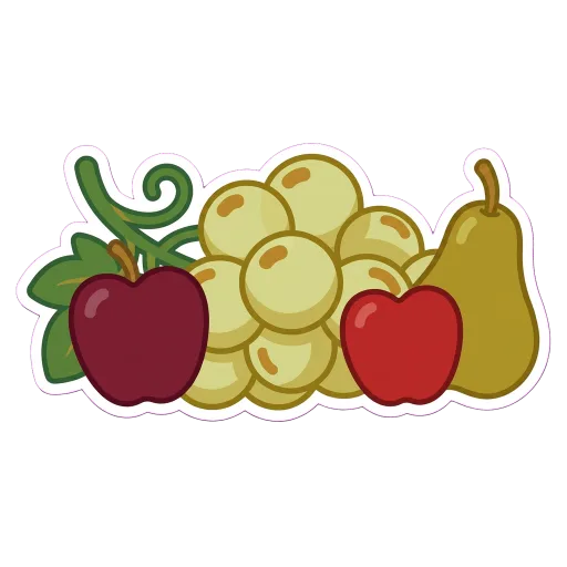 Illustration of Garganega grapes