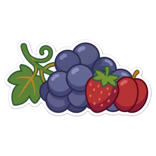 Illustration of Grenache / Garnacha grapes