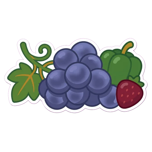 Illustration of Merlot grapes