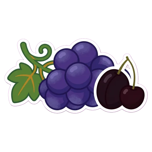 Illustration of Montepulciano grapes