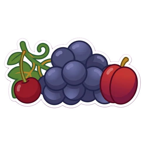 Illustration of Nebbiolo grapes
