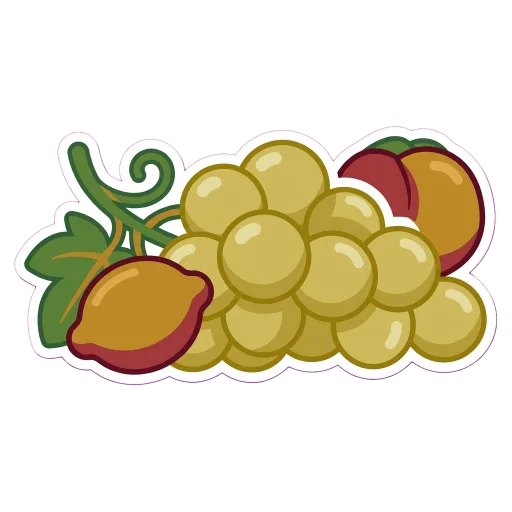 Illustration of Pinot Gris grapes