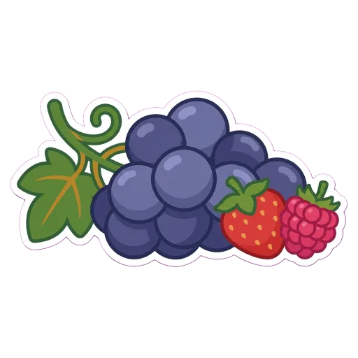 Illustration of Pinotage grapes