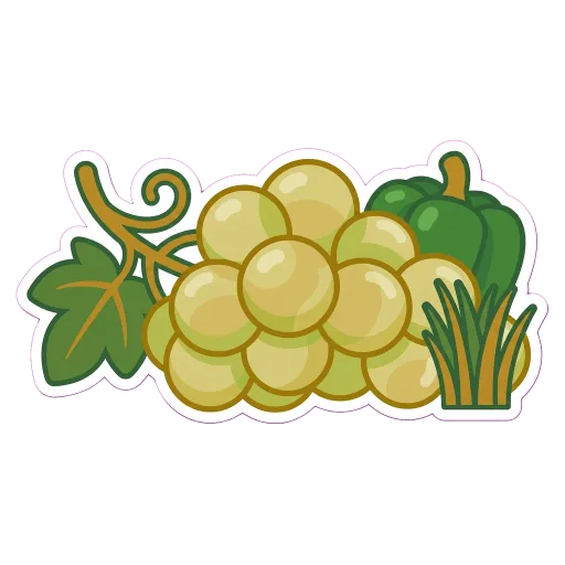 Illustration of Sauvignon Blanc grapes