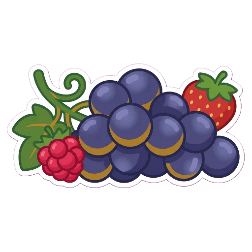 Illustration of Tempranillo grapes