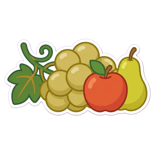 Illustration of Verdicchio grapes